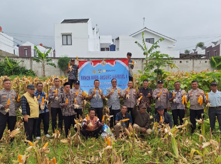 Panen raya jagung serentak kuartal 1 Desa tanimulya