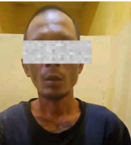 Residivis Pembobol Rumah