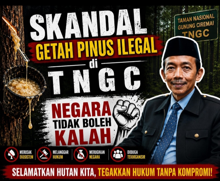 Skandal Getah Pinus: Ilengal di TNGC Negara Tidak Boleh Kalah Oleh Aceng Syamsul Hadie,S.Sos,MM (ASH) Ketua Dewan Pembina DPP ASWIN