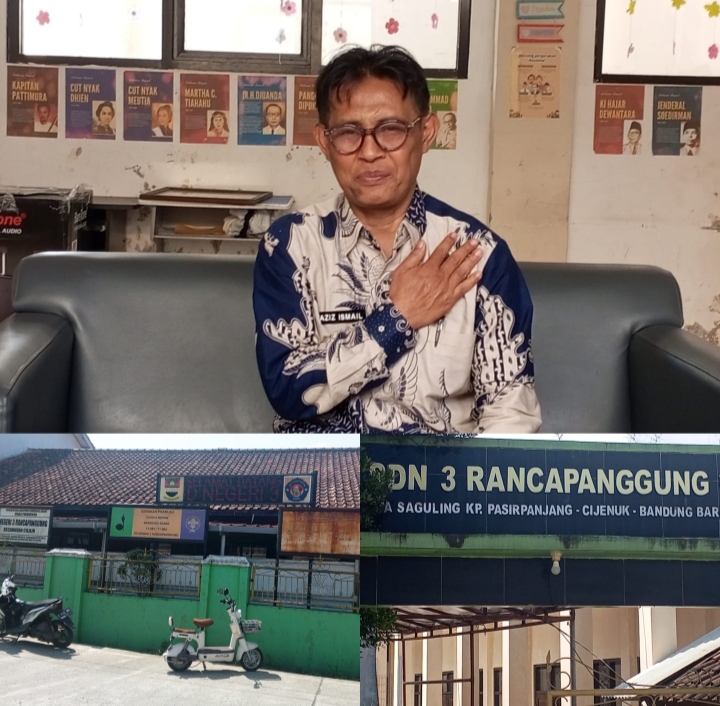 uploaded image