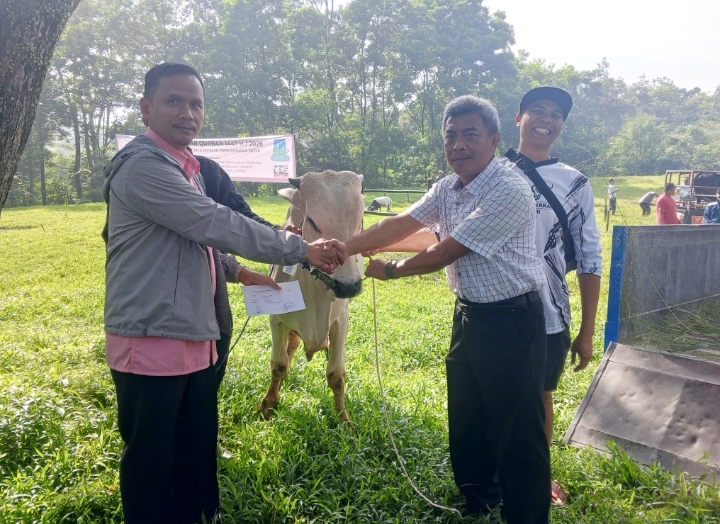 Kota Baru Parahyangan Salurkan 3 Sapi dan 18 Kambing Kurban untuk Masyarakat Bandung barat