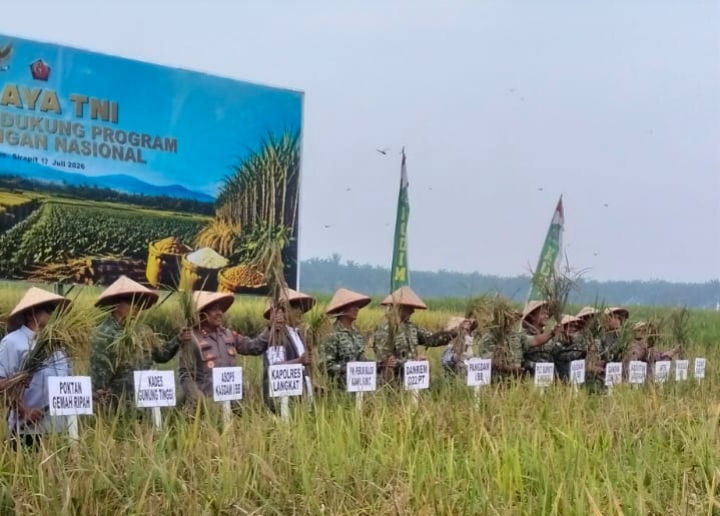 Panen Raya di Desa Gunung Tinggi yang di Hadiri Pangdam 1 BB dalam rangka Mendukung Program Ketahanan Pangan (Ketapang)