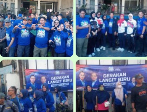 uploaded image